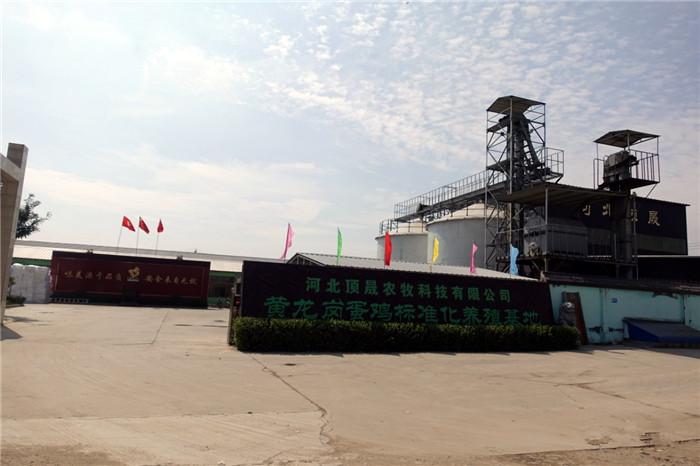 1631960585471214.jpg 3.jpg