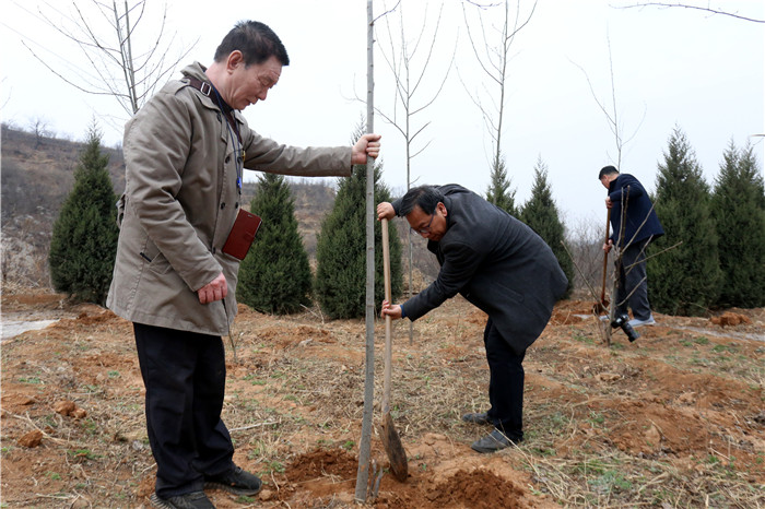 1648795602384643.jpg 4.jpg